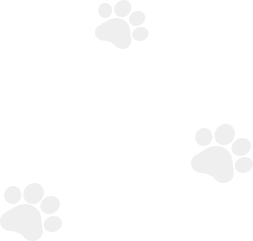 Pet Paw