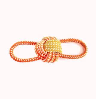 Tug Dog Toy